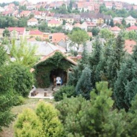 Borbarat Vendeghaz Villa Eger Buitenkant foto